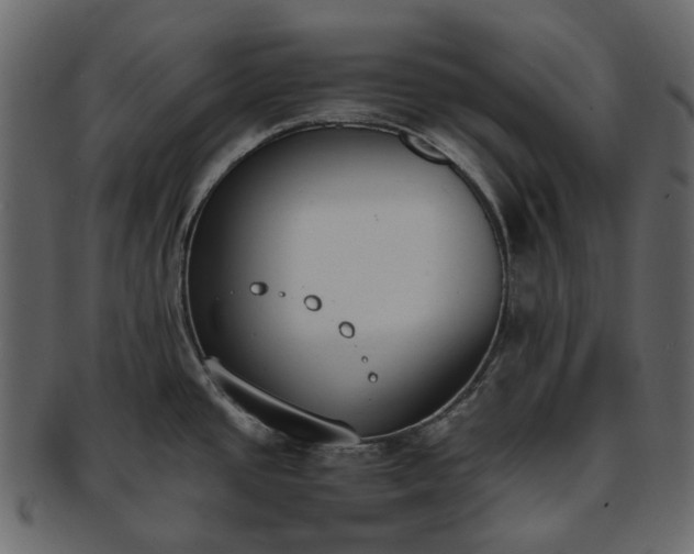 X0000093391437200710191145