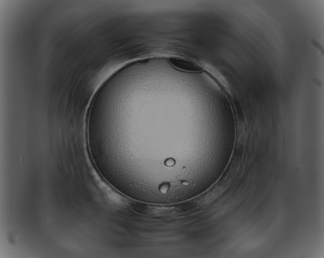 X0000093391439200710191145