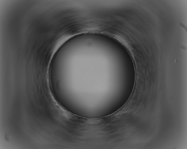 X0000093391440200710191145