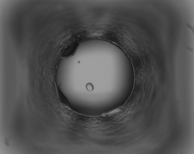 X0000093391441200710191144