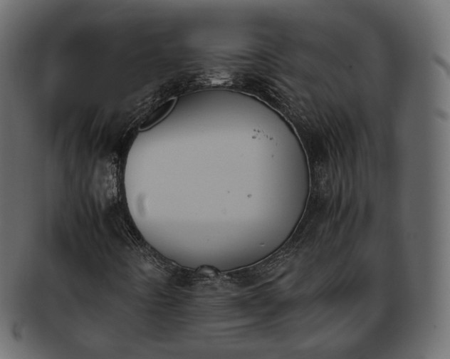 X0000093391442200710191144