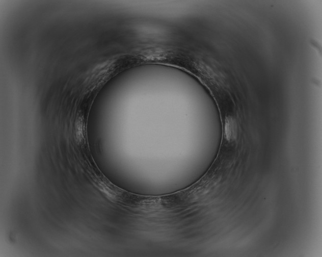 X0000093391444200710191144