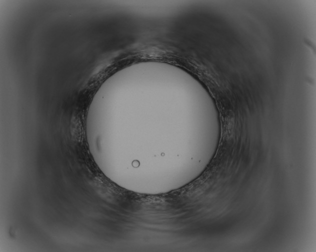 X0000093391446200710191144