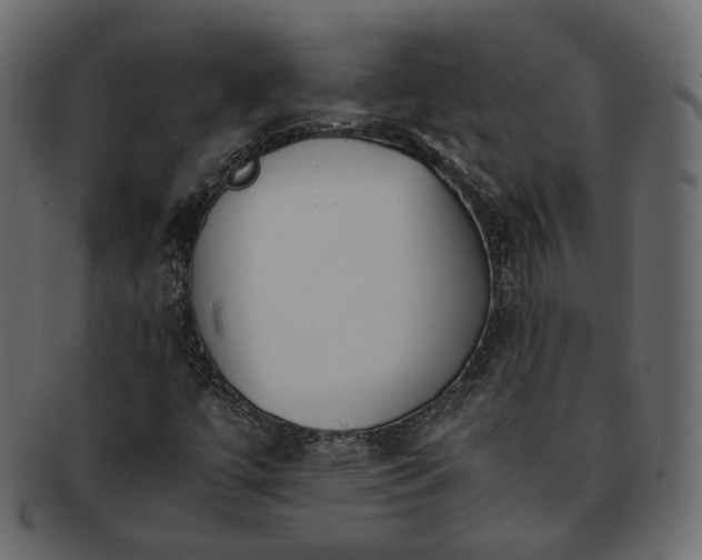 X0000093391447200710191144