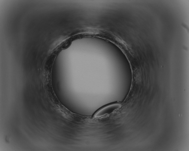 X0000093391448200710191144