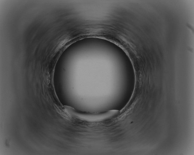 X0000093391449200710191144