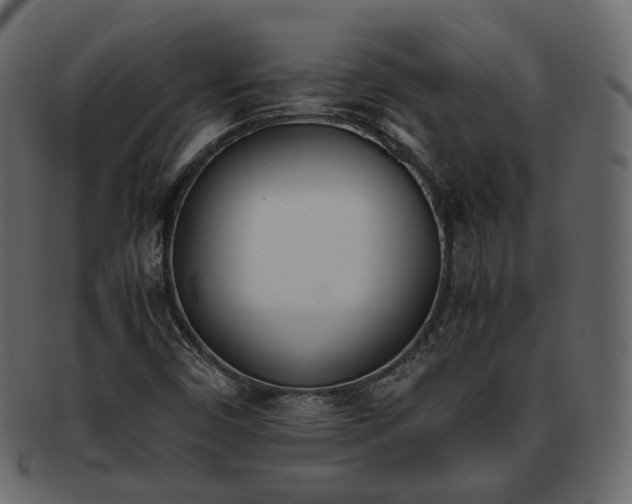 X0000093391450200710191144