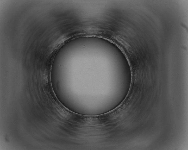 X0000093391451200710191144