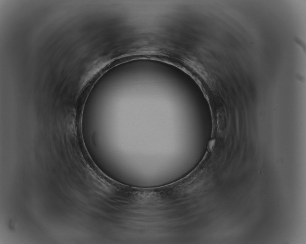 X0000093391452200710191144