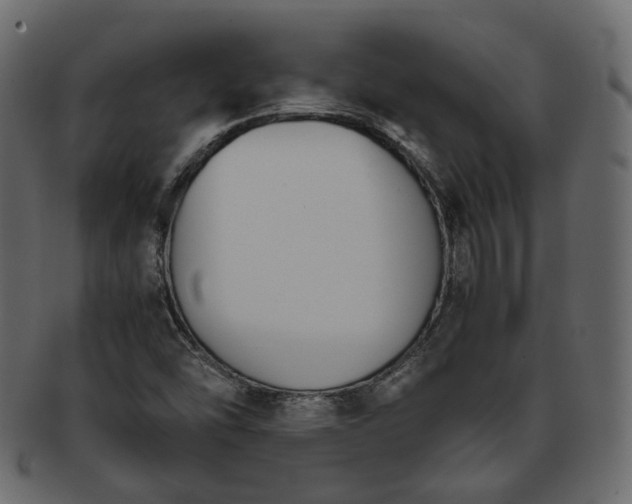 X0000093391454200710191144