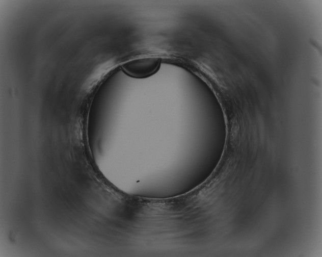 X0000093391455200710191144