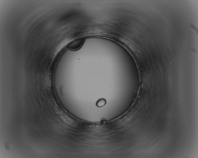 X0000093391458200710191144