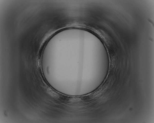 X0000093391462200710191144