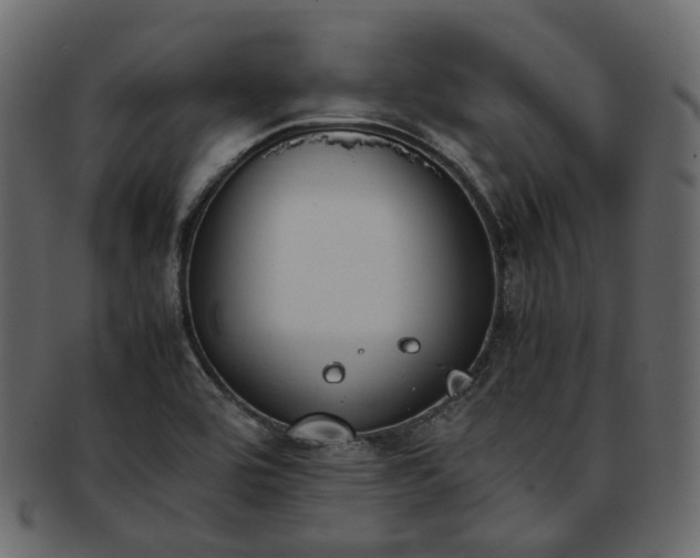 X0000093391464200710191144