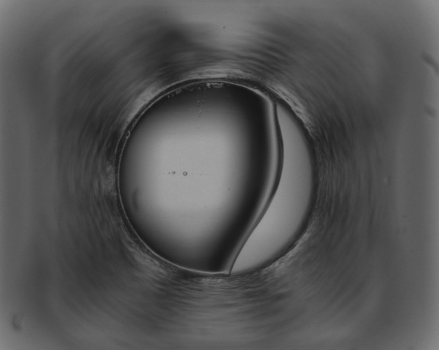 X0000093391465200710191144