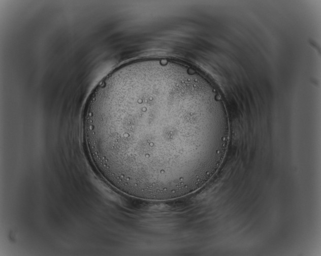 X0000093391467200710191144