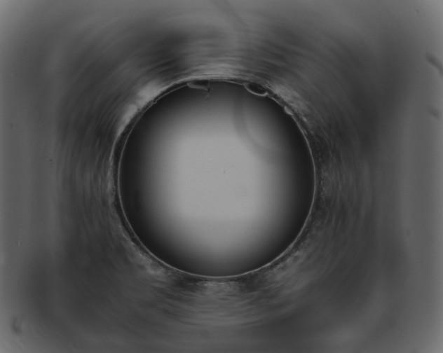 X0000093391469200710191144