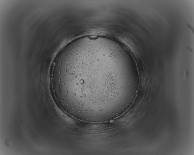 X0000093391471200710191144