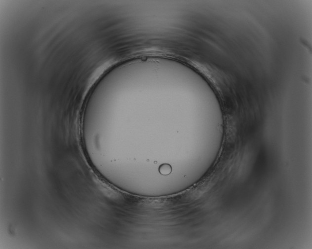 X0000093391474200710191144