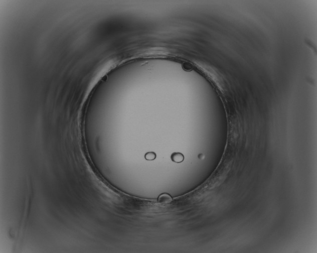 X0000093391475200710191144