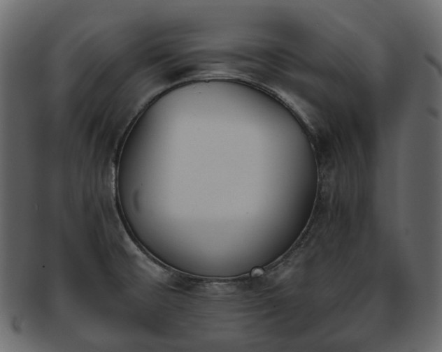 X0000093391476200710191144