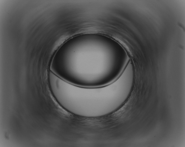 X0000093391477200710191144