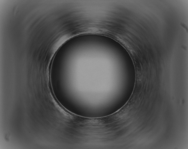 X0000093391479200710191144