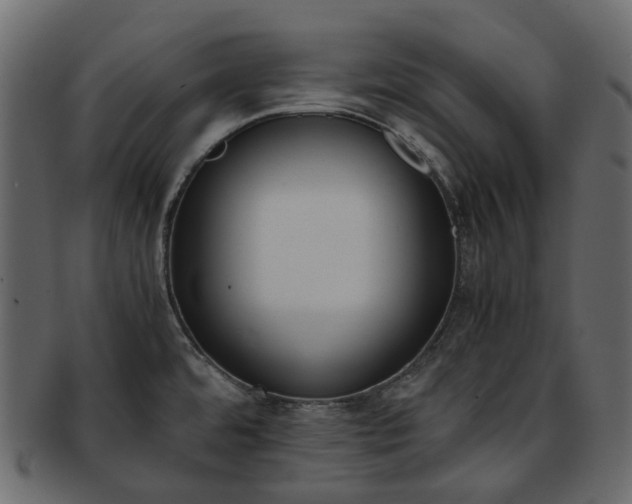 X0000093391480200710191144