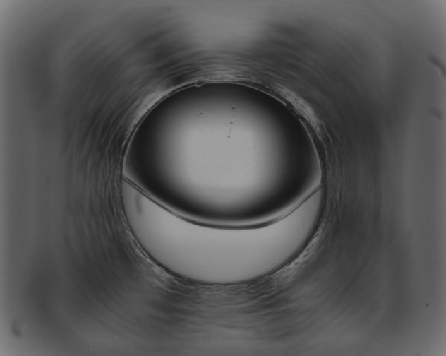 X0000093391481200710191144