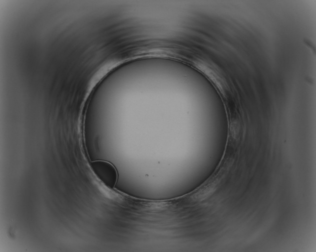 X0000093391482200710191144