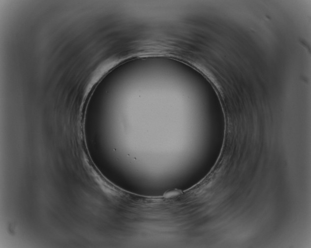 X0000093391485200710191144