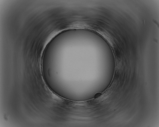 X0000093391486200710191144