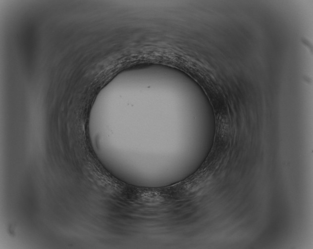 X0000093391489200710191143