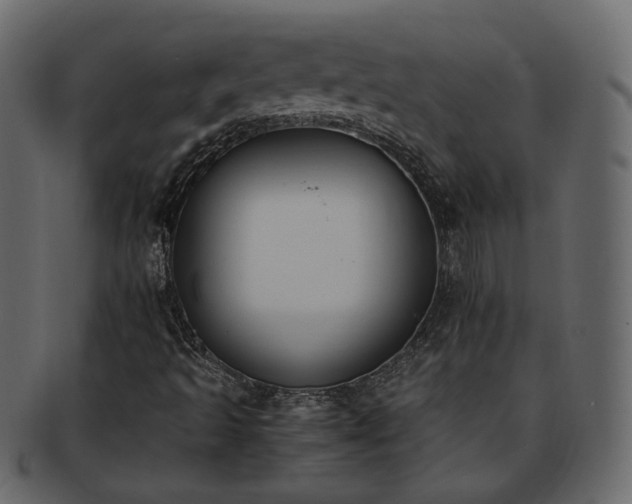 X0000093391493200710191143