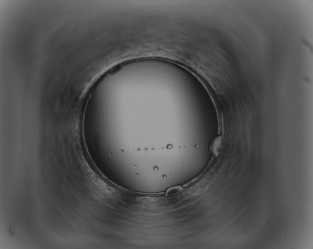 X0000093391500200710191143