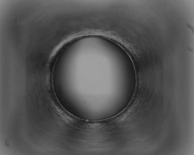 X0000093391502200710191143