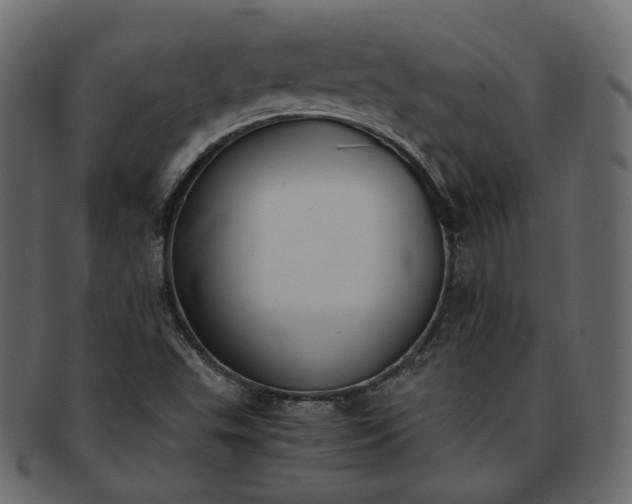 X0000093391503200710191143