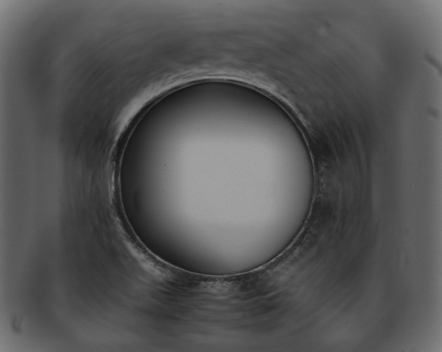 X0000093391511200710191143