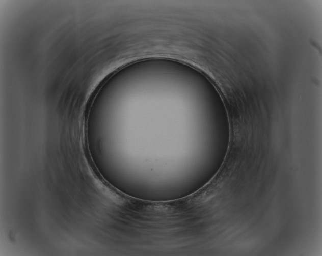 X0000093391515200710191144