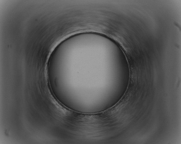 X0000093391516200710191144