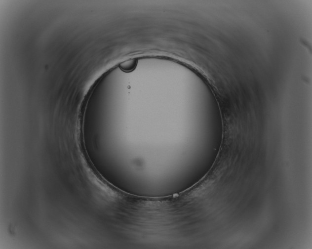 X0000093391518200710191144