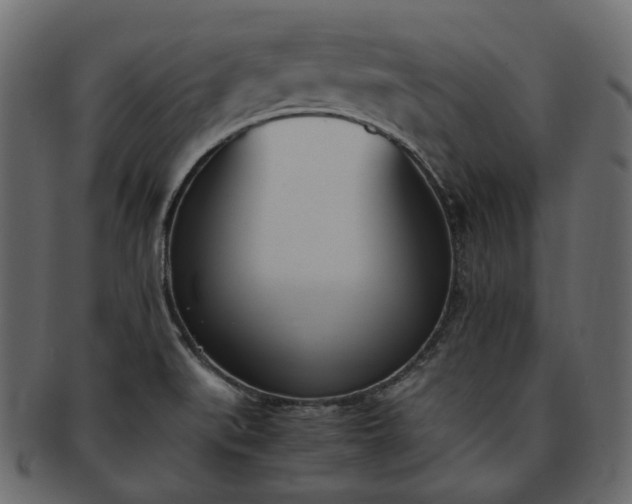 X0000093391519200710191144