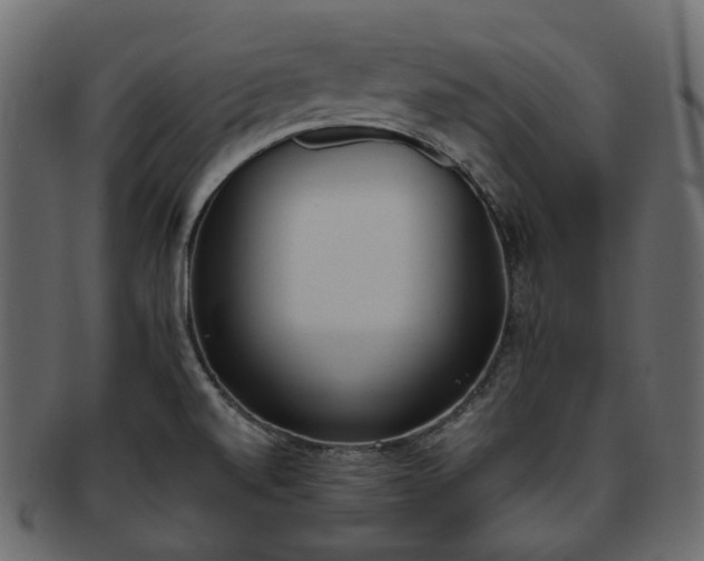 X0000093391520200710191144