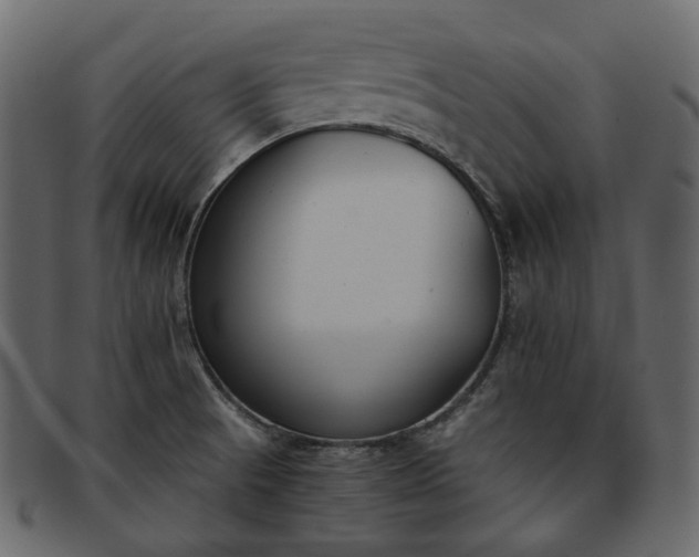 X0000093391521200710191144