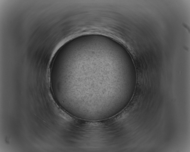 X0000093391522200710191144