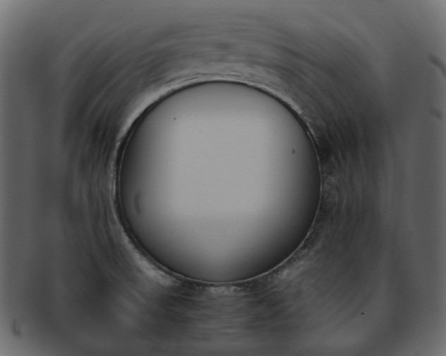 X0000093391523200710191144