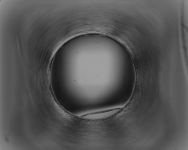 X0000093391524200710191144