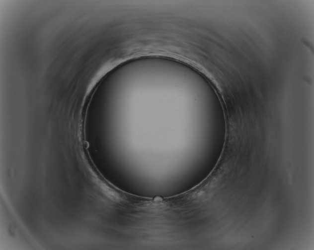 X0000093391525200710191144