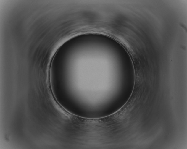 X0000093391528200710191144