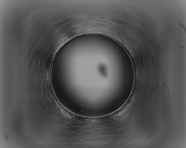 X0000093391529200710191144